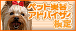 �y�b�g���e�A�h�o�C�U�[����