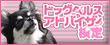 �h�b�O�w���X�A�h�o�C�U�[����