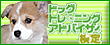 �h�b�O�g���[�j���O�A�h�o�C�U�[����